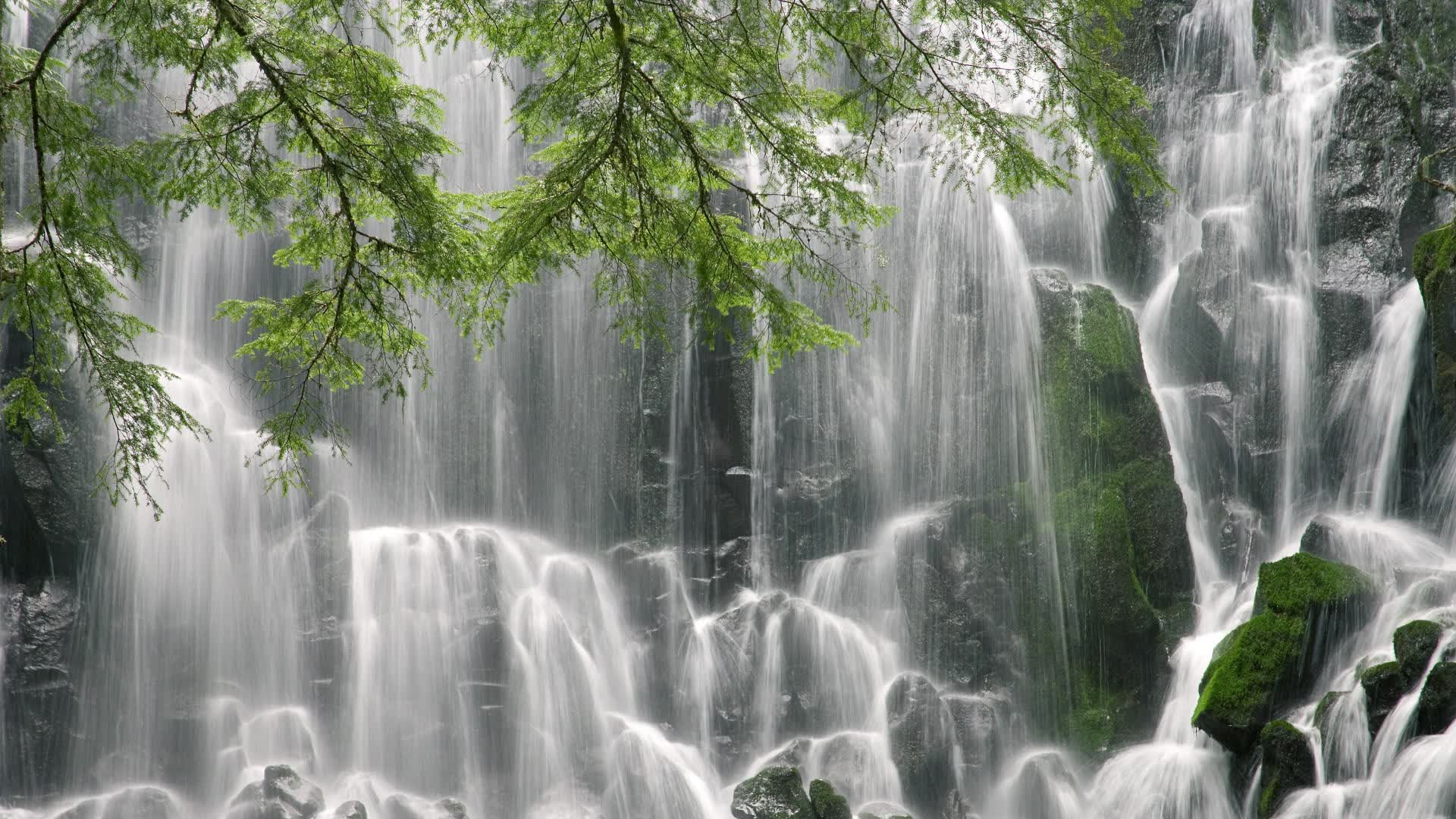 世界游泳俱乐部与城市联合举办健康跑活动，世界游泳联盟